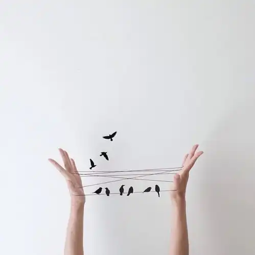 我的收藏
