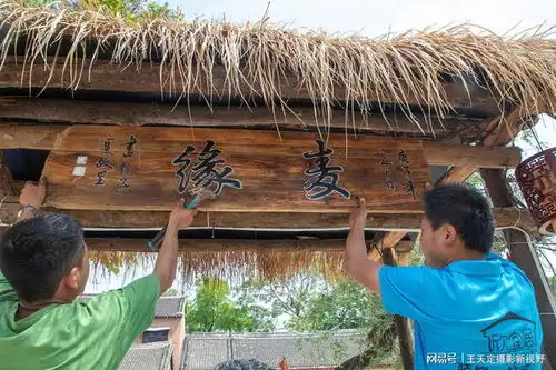 小麦刚泛黄,这里就开始割麦子了,加工未熟麦子农民增收竟高5倍
