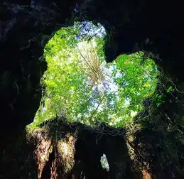 旅行青蛙儿子去过的日本非著名景点竟然有这么多
