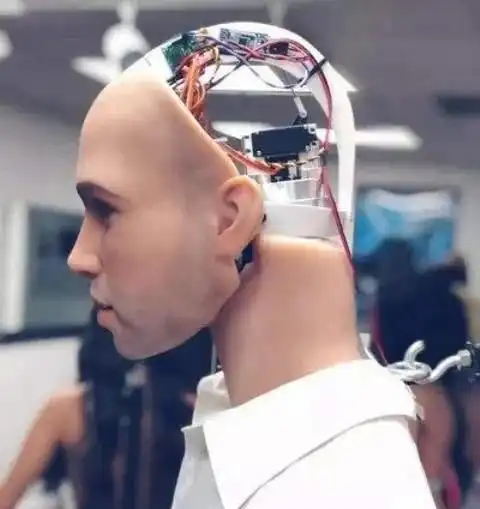 男性机器人为何如此受欢迎女用户主要是因为这3个功能
