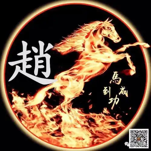 带赵字的图片霸气
