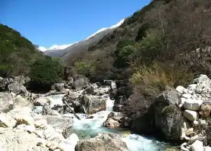 2019年7月11号出生的男孩起什么名字比较好,五行属什么
