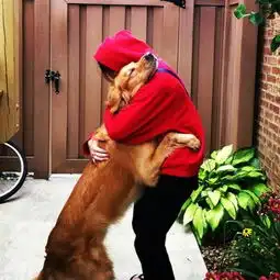 养了猫都像养渣女,养了狗你就是渣男
