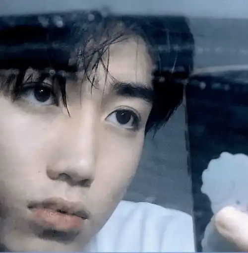 头像我也想要满分的安全感
