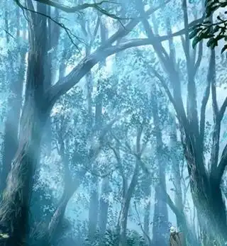 虫师之我的师父是银古
