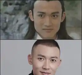 男明星真的不整容吗看到他们的经历,网友太敬业了
