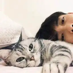 芜湖宠物狗领养
