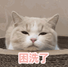 养男人不如养猫的8个理由
