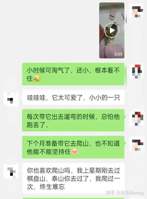 2024真不想单身了,陌陌探探牵手青藤之恋这些哪个是你用了之后真的脱单成功的
