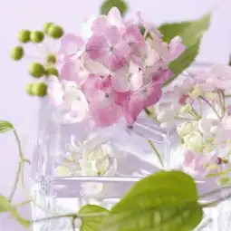 mdh1脱焦虚镜怎么回事有办法调吗
