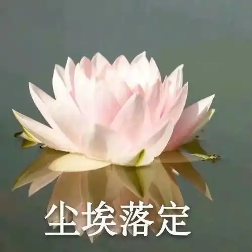 有一种代沟叫做看不懂的表情包