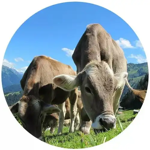 更年期脾气大易生病专家来支招,帮你稳度更年期
