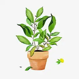 卡通绿植素材图片免费下载高清png千库网图片编号8557015
