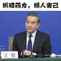 王毅霸气微信头像外交部部长王毅帅气头像图片

