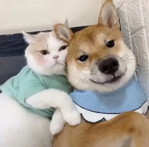 情侣头像你的心动我的欢喜
