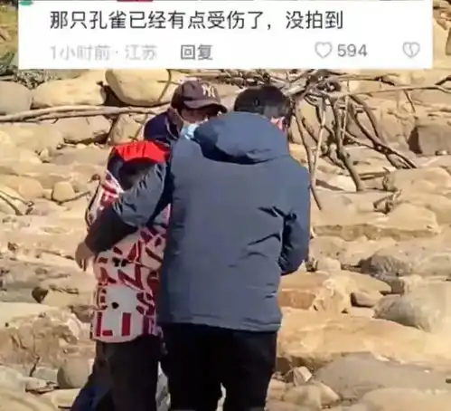 一家三口惹怒全网他还是个孩子,那就家长担责
