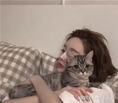 情感故事一只猫的心声能被你需要真好
