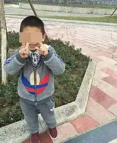 7岁男孩失踪2天后发现在充气城堡窒息身亡

