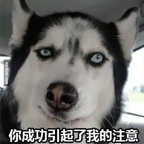 清纯女星沦为干爹x傀儡,对男人失去兴趣
