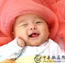 宝宝取名兔宝宝取名的思路集锦
