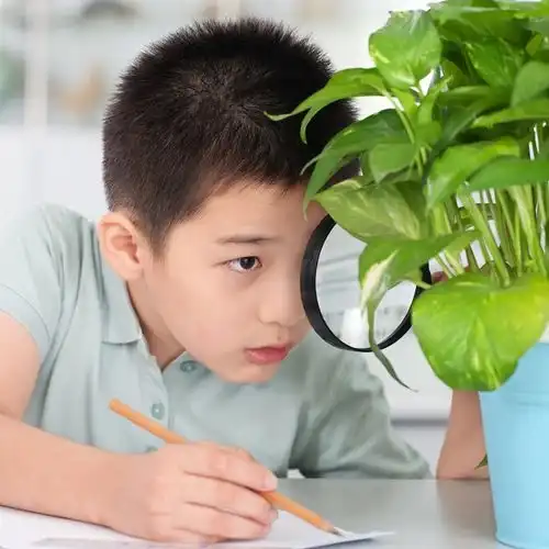 李玫瑾养男孩的要注意,最晚6岁之前,要教会他这4种能力
