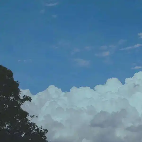 让心在辗转中安然

