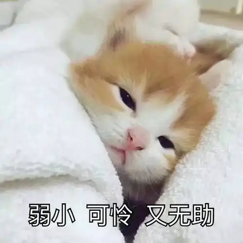 我居然发现了一个,拆散情侣的小游戏