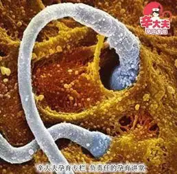 为啥有人备孕很久就是怀不上有人同房一次就怀孕了
