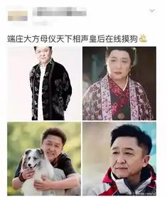 尺度好大敢对顶流黄暴,连钢铁直男都不放过
