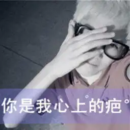 生命在继续
