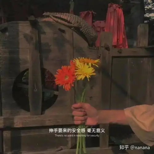 值得抄录下来的句子
