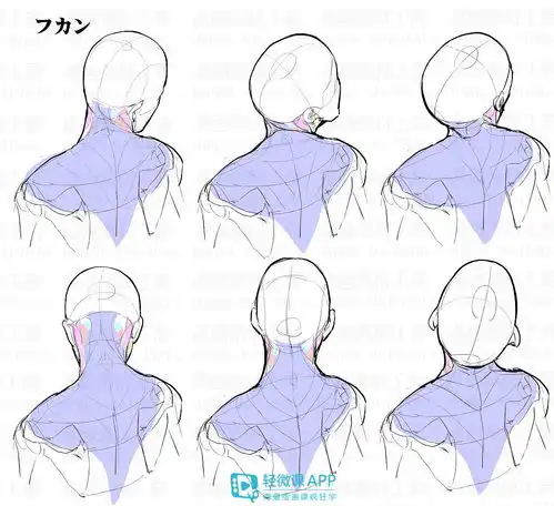 插画人物的结构如何绘制这些素材不能少
