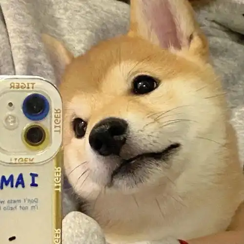 精选头像丨多款精选男女生头像
