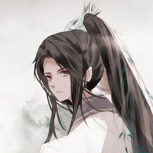 多日不见,将军可还安好
