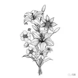 100张手绘精品素材
