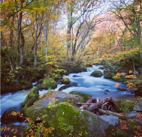 刷遍朋友圈,你的青蛙到底去哪里旅行了
