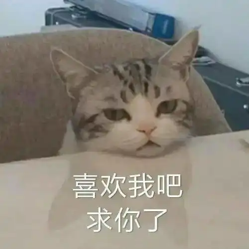 深夜收到陌生男网友转账,老公发现后网友这啥家庭啊居然还能这么玩
