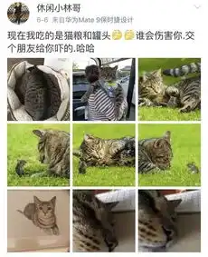 33岁杨幂自夸老子太美非主流博文骂脏话,她也是沙雕女孩
