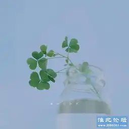 属于你我的漂流瓶的故事,