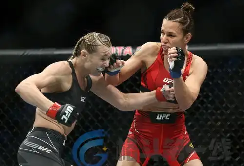 ufc262综述奥利维拉成为轻量级冠军,夜魔一致判定告负