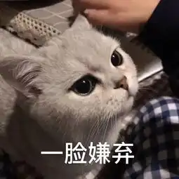 说一说你遇见过哪些高段位绿茶细思极恐啊
