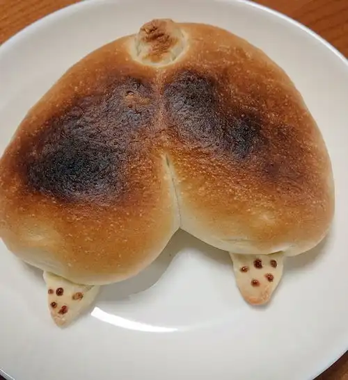 情侣头像柯基面包