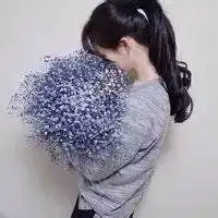 浪漫满天星微信头像微信头像图片大全
