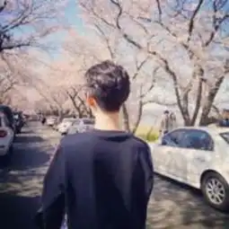 一本正经唱小黄歌
