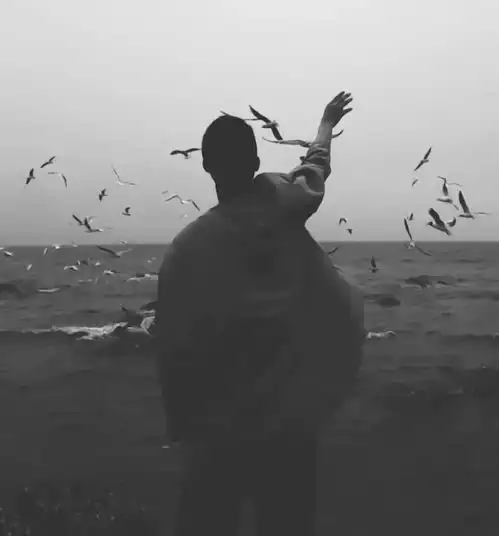 爱来爱去的日子里,原来我们都有一样心情备胎故事展
