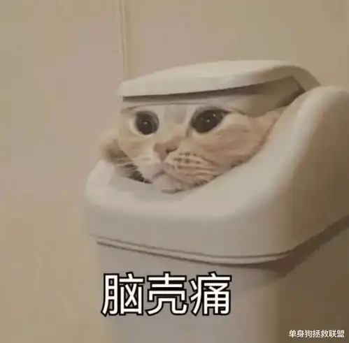 都说这样是渣男,可你连舔狗都不配
