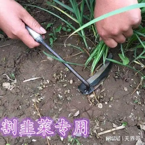 理财课是怎么割韭菜的
