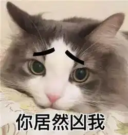 甩不掉的渣猫,比渣男更可怕