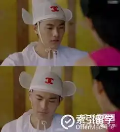 深扒太子妃升职记背后的时尚英伦风,你们都造吗
