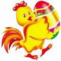 属猪的人微信头像用什么发财微信头像图片大全
